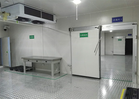 海鲜速冻香蕉视频官网建造价格
