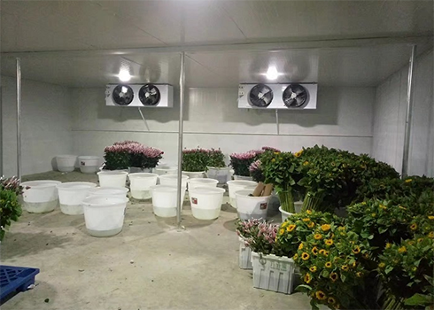 鲜花保鲜香蕉视频官网建造