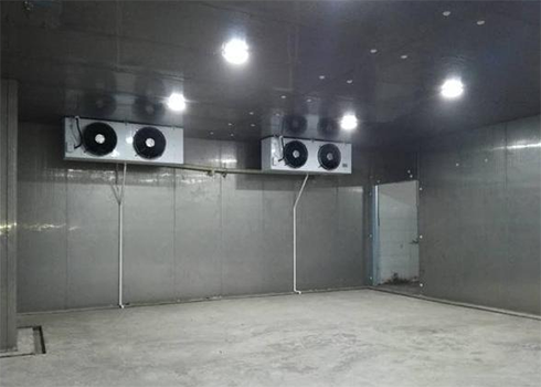 食品香蕉视频官网建造公司