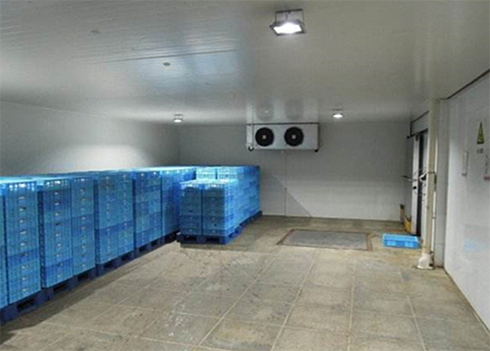 食品香蕉视频官网建造安装公司
