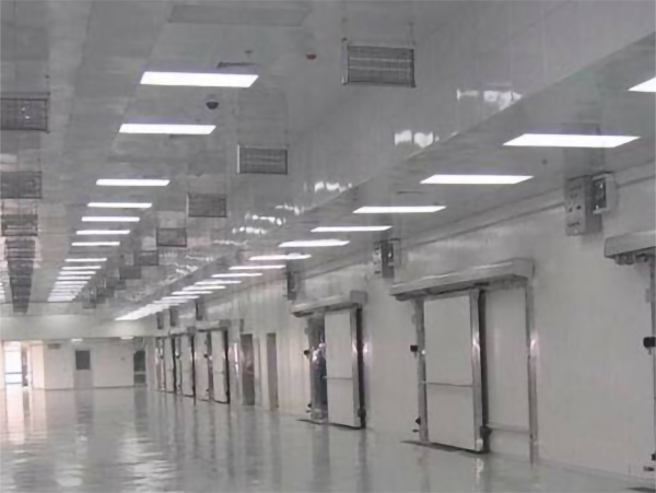 食品冷链配置低温香蕉视频官网建造安装