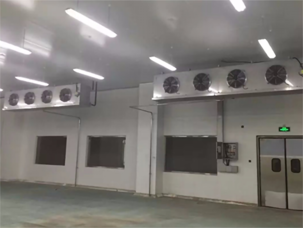 保鲜香蕉视频官网耗电量的影响因素