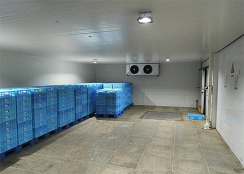 水果食品冷藏库建造价格 水果食品冷藏库建造价格