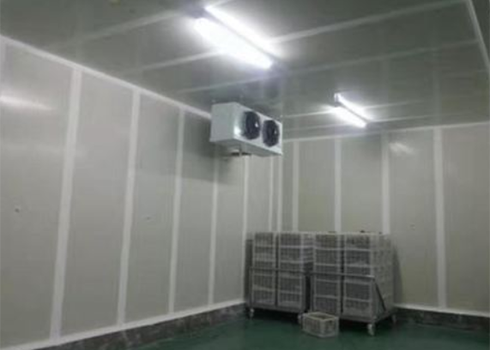 食品香蕉视频官网建造价格