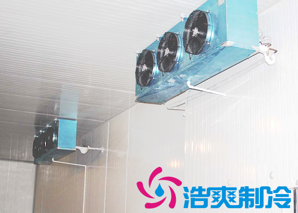 建造安装5000㎡鸡排低温冷藏库造价费用是多少？