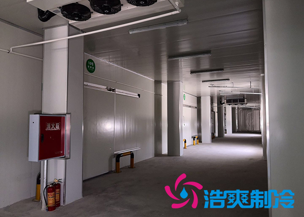 建造一个冰淇淋香蕉视频官网造价需要多少钱？