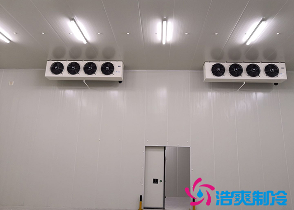 建造一个10000平方米生鲜香蕉视频官网冷链仓储配送需要投资多少费用？