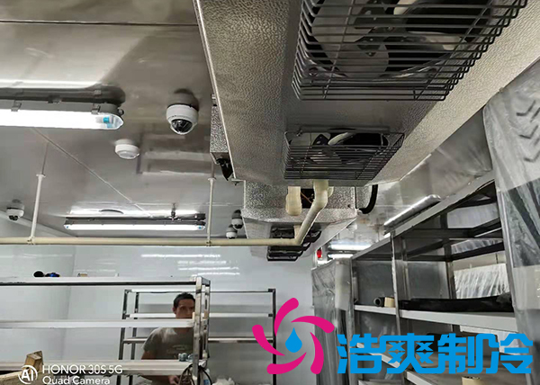 建造1000吨土豆保鲜库需要多少安装费用？_91香蕉视频IOS下载制冷