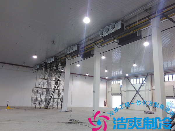 餐饮公司建造21000立方米大型食品冷藏库造价多少钱？_91香蕉视频IOS下载制冷