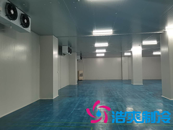 滨州健源大型食品香蕉视频官网工程建造安装案例
