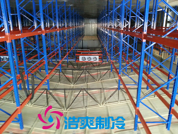 浙江建造3000m³牛肉低温冷藏冷冻库安装造价是多少？_91香蕉视频IOS下载制冷