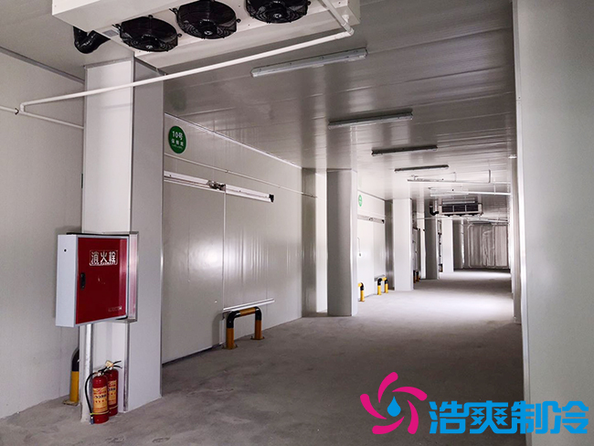 芭蕉气调保鲜库安装如何确保果实的长期储存？_91香蕉视频IOS下载制冷