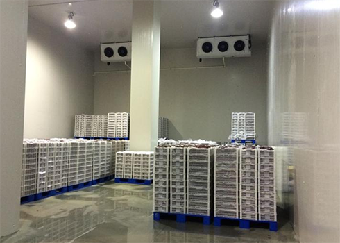 建造安装1000㎡香蕉视频官网造价大概需要多少费用？_91香蕉视频IOS下载制冷