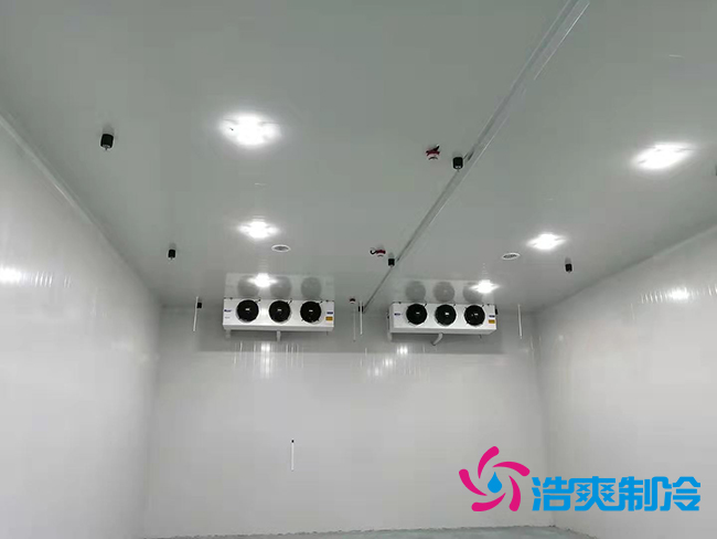 超低温冻库建设价格与哪些因素有关？_91香蕉视频IOS下载制冷