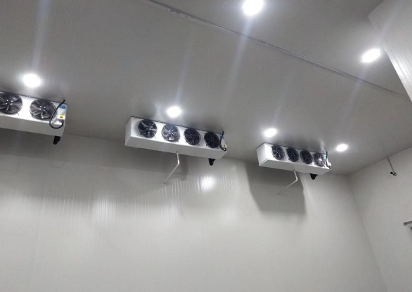 超低温香蕉视频官网建设标准及制冷设备配置_91香蕉视频IOS下载制冷