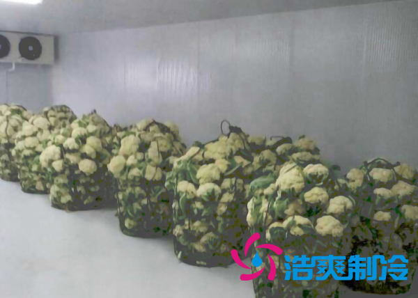 云南500平米气调香蕉视频官网安装造价大概是多少？_91香蕉视频IOS下载制冷