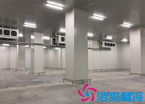 食品冷冻库建造需要多少成本？_91香蕉视频IOS下载制冷