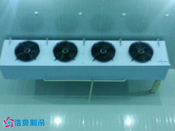 干果保鲜香蕉视频官网安装
