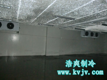 成都环球会展配送中心大型香蕉视频官网