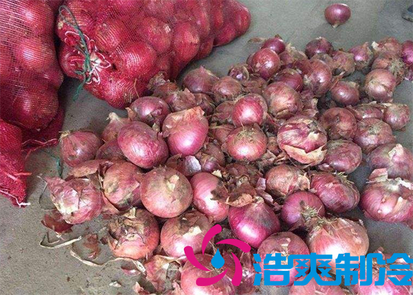 建一个洋葱保鲜库要多少钱呢？_91香蕉视频IOS下载制冷