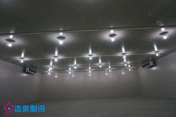 湖北冷源冷链高低温香蕉视频官网建造安装