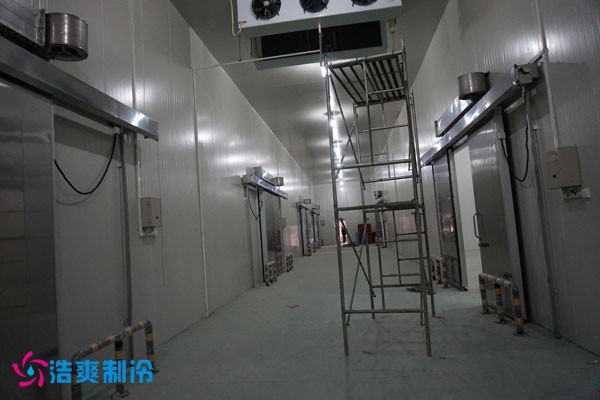 湖北冷源冷链高低温香蕉视频官网建造安装