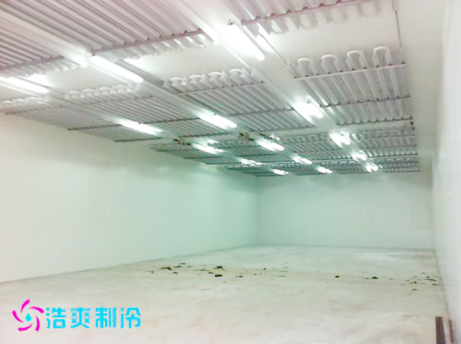 2500m³食品原料/成品香蕉视频官网建造工程