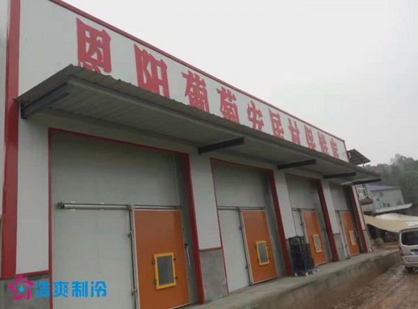 巴中葡萄种植合作社气调保鲜香蕉视频官网建造
