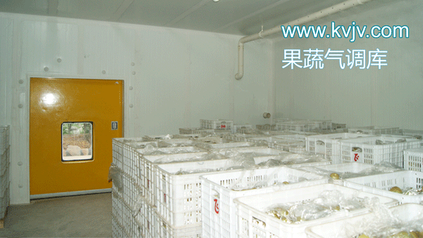 衢州蜜之源果业气调保鲜香蕉视频官网建造工程