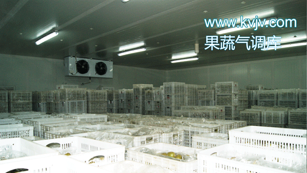 衢州蜜之源果业气调保鲜香蕉视频官网建造工程