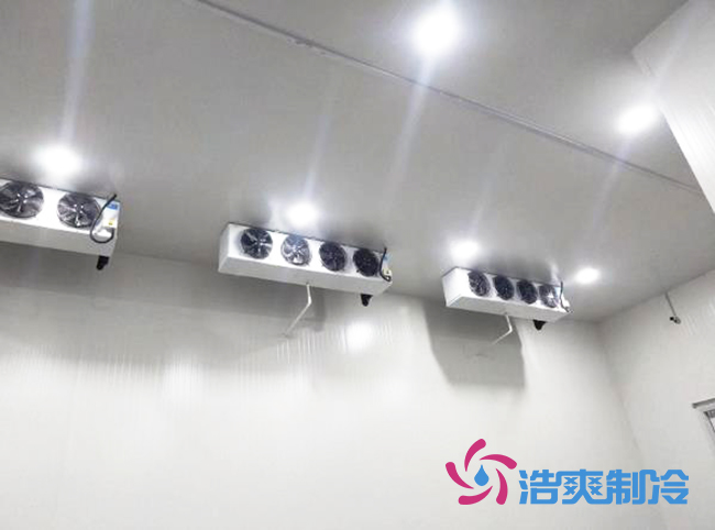 衢州蜜之源果业气调保鲜香蕉视频官网建造工程