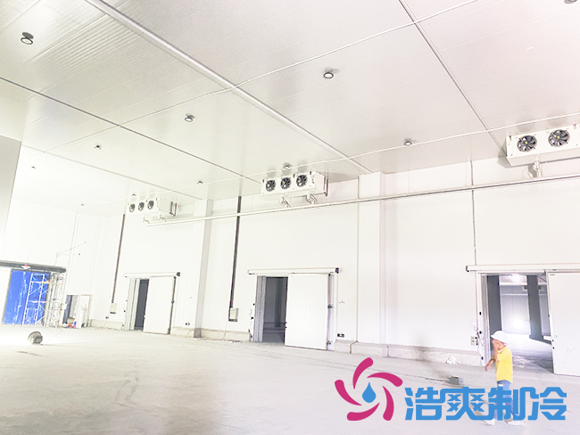 海南建造一个香蕉视频官网需要多少钱？_91香蕉视频IOS下载制冷