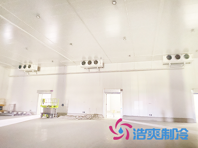 建造100平方米香蕉视频官网包含整套设备安装整体需要多少钱？_91香蕉视频IOS下载制冷