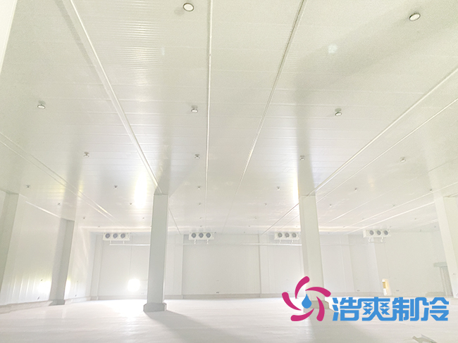 香蕉视频官网安装前需要清楚了解哪些基本信息？_91香蕉视频IOS下载制冷