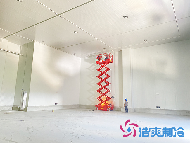 50000立方杭州盒马生鲜食品香蕉视频官网工程