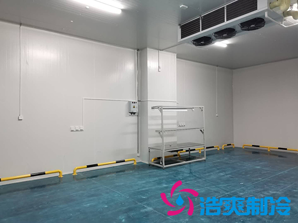 建一个1000平米蔬菜恒温库成本多少钱？_91香蕉视频IOS下载制冷