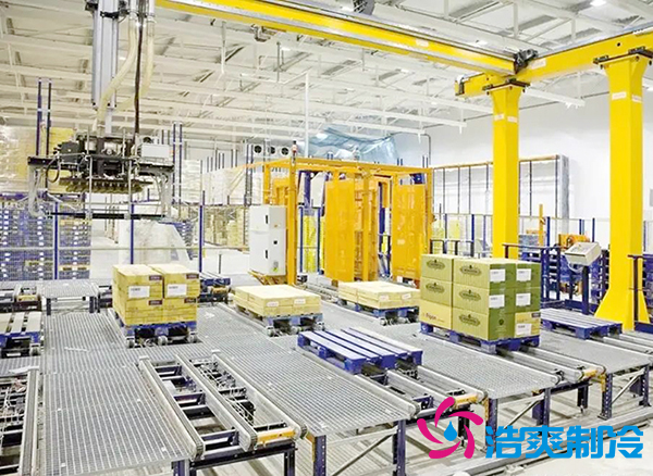自动化食品立体香蕉视频官网建造设计方案