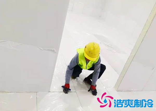 2000立方米海鲜香蕉视频官网建造方案及水产冷冻库造价成本_91香蕉视频IOS下载制冷