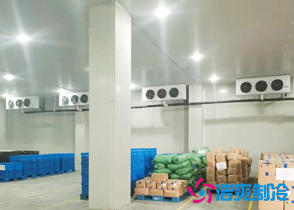 大型蔬菜香蕉视频官网建造价格多少钱,果蔬保鲜冷藏库安装设计规范-91香蕉视频IOS下载制冷