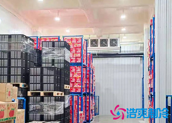 水果香蕉视频官网保鲜库建造价格是多少钱？-91香蕉视频IOS下载制冷