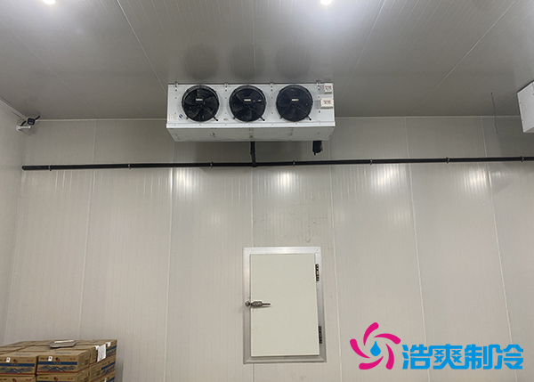 建一个500吨的大蒜香蕉视频官网每平方米要花多少钱?-91香蕉视频IOS下载制冷