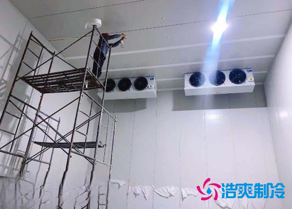 建造一个果蔬种植园气调香蕉视频官网安装造价大概投资多少钱？-91香蕉视频IOS下载制冷