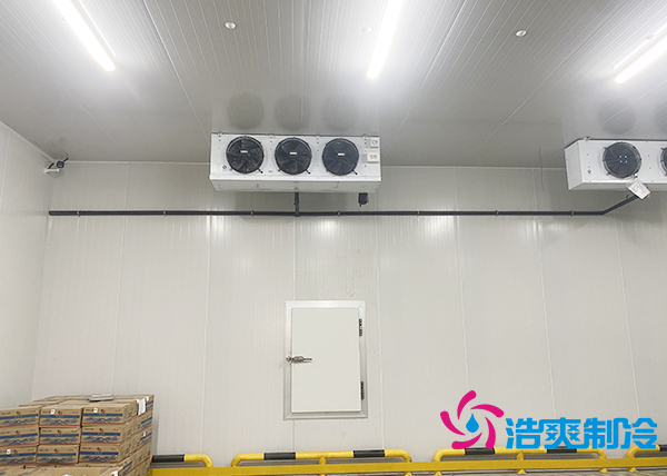 农产品批发市场建造700立方保鲜香蕉视频官网全套制冷设备报价多少钱？-91香蕉视频IOS下载制冷