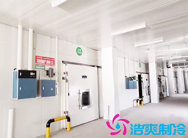 农产品批发市场建造700立方保鲜香蕉视频官网全套制冷设备报价多少钱？-91香蕉视频IOS下载制冷