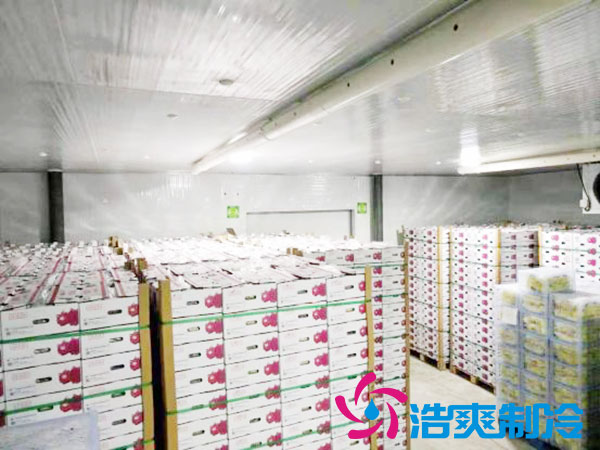 建造一个火龙果香蕉视频官网要花多少钱？-91香蕉视频IOS下载制冷