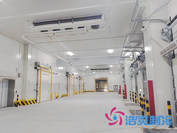6000吨食品冷藏库造价成本,6000吨香蕉视频官网安装费用预算-91香蕉视频IOS下载制冷