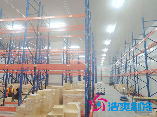 如何选择专业的生鲜冷冻物流香蕉视频官网公司？-91香蕉视频IOS下载制冷
