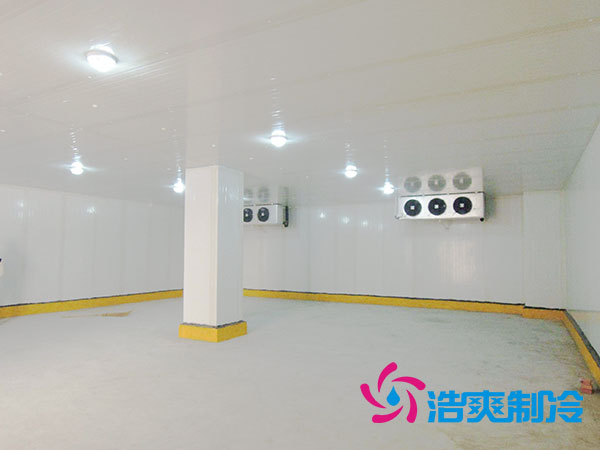 50吨果蔬气调库预算造价多少钱？-91香蕉视频IOS下载制冷