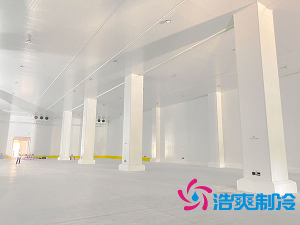大型农产品蔬菜保鲜香蕉视频官网设计方案-91香蕉视频IOS下载制冷