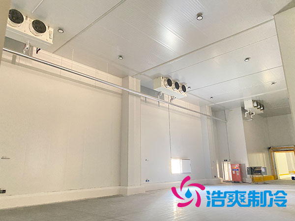 宁波农产品保鲜库建造设备价格多少钱？-91香蕉视频IOS下载制冷